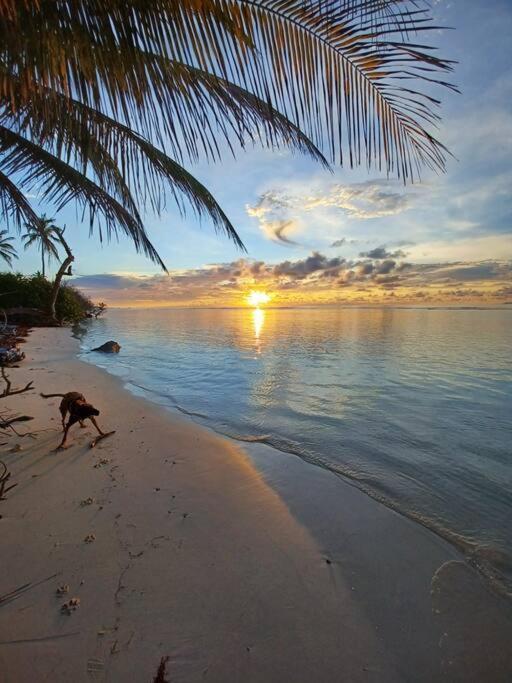 Bungalow Atypique Ti Bambou A 500M De La Plage Sainte-Anne  Kültér fotó